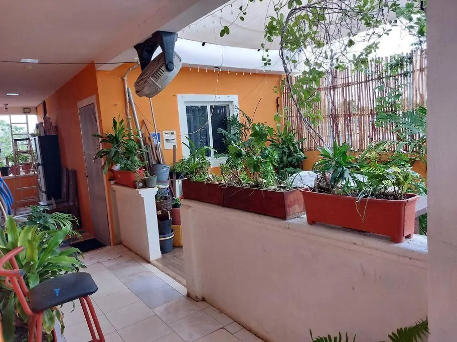 5 Estudio Planta Alta Con Terraza Cozumel 0*,  Mexico